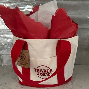 NWT Trader Joe’s Mini Canvas Bag